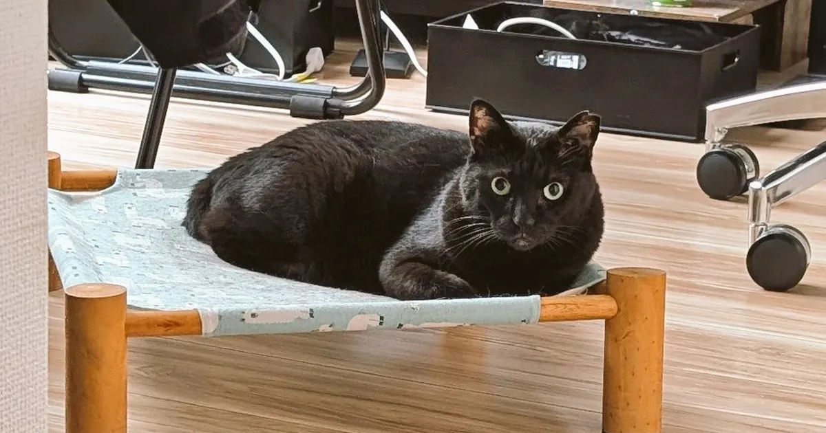 自動化でゆとりができた時間のイメージ