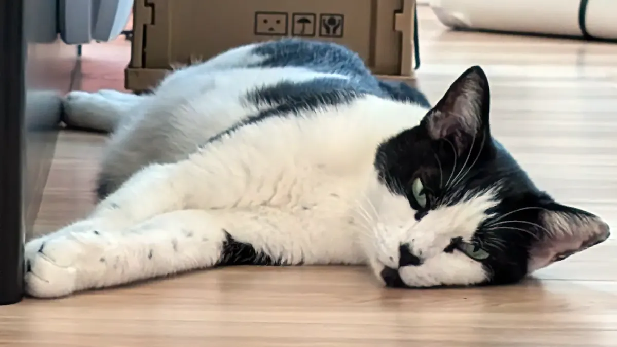 早起きの空腹対策には「ゾンビ徘徊」が最強。人生のMP（やる気）を回復させる第3の時間